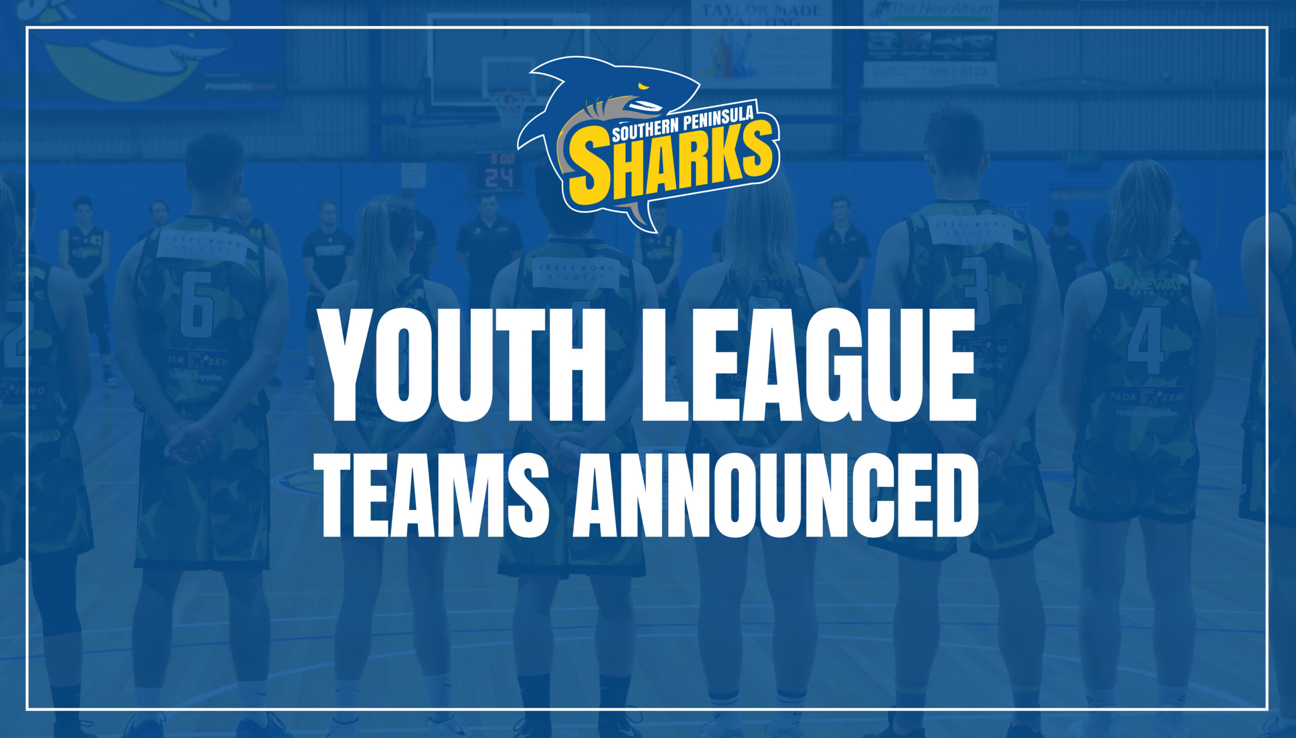 Youth Leauge Teams